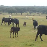 El Caminante Aldeanueva del Camino