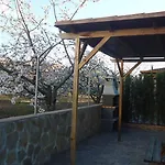 El Caminante *