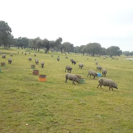 Летний дом El Caminante Альдеануэва-дель-Камино