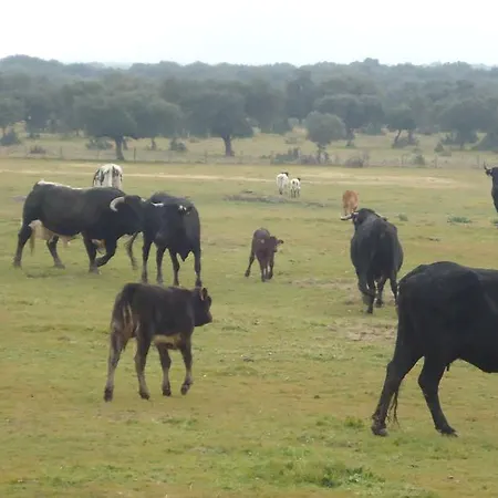 El Caminante Aldeanueva del Camino