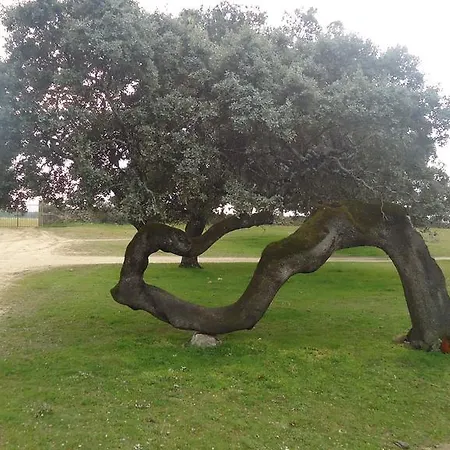 El Caminante Landhaus Aldeanueva del Camino