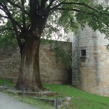 El Caminante