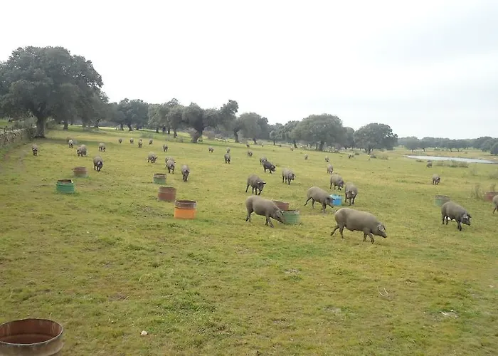 Venkovský dům El Caminante Aldeanueva del Camino