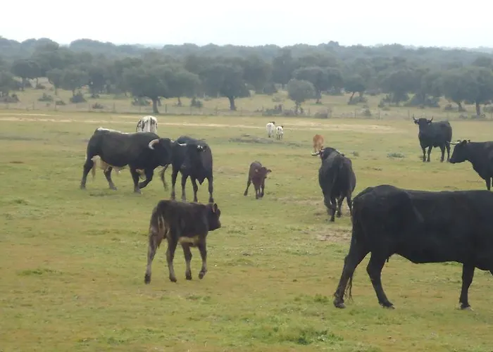 El Caminante Aldeanueva del Camino