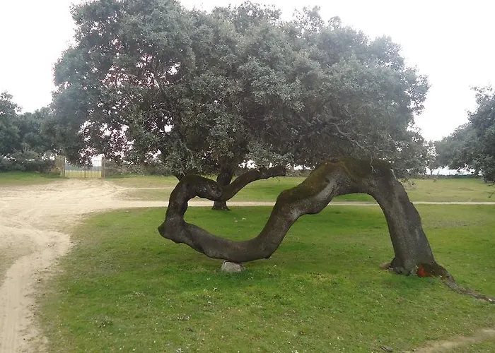 El Caminante Venkovský dům Aldeanueva del Camino