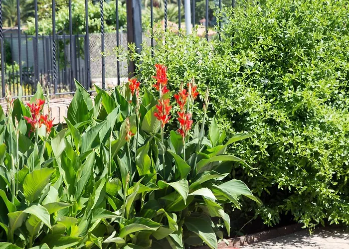 El Caminante * Aldeanueva del Camino